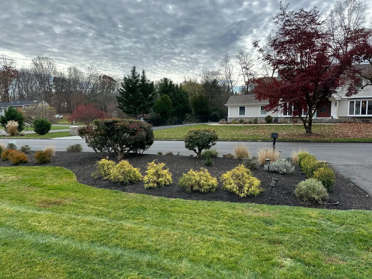 Professional Landscaping